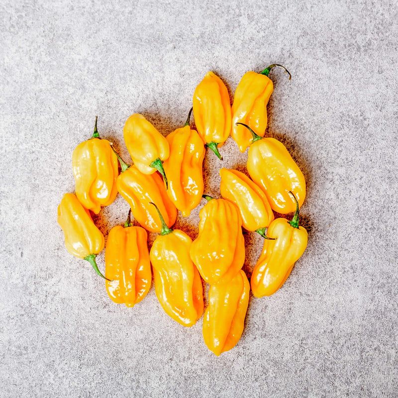 Habanero jaune frais 500g